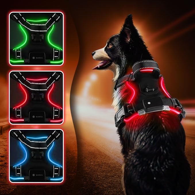 Generic RED (LED) Light D Dog Harness | Dog Harness Medium Sized Dog | Light Up Dog Harness | Soft Handle | Rechargeable, Lighted Dog Collars for Night | Glow in The Dark Dog Collar | RED - Medium