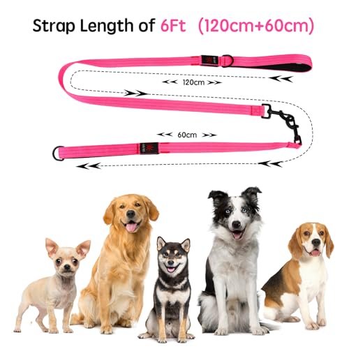 Dlitk Light Up Dog Leash, LED Leashes Rechargeable, Nylon Reflective Lead with Padded Handle for Night Walking, Safety Glow Lights for Large Medium Small Dogs(Pink,(4 Ft+2 Ft))