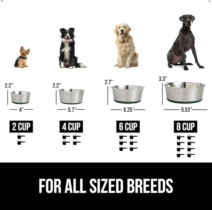 GORILLA GRIP Set of 2 Dog Bowls, Heavy Duty Metal Food and Water Bowl for Feeding Dogs and Cats, Dishwasher Safe, Rust Resistant Stainless Steel, BPA Free Rubber Base, Holds 2 Cups (16 fl oz), Green