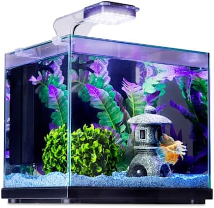 Imagitarium Glass Versa Aquarium 3.7 Gallons
