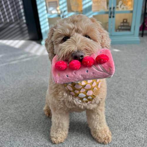 Dog Enrichment Toys, Dog Puzzle Interactive Toy, Puppy Birthday Cake Toy for Boredom and Stimulating, Slow Feeding Snuffle Mat Crinkle Gift for Small and Medium Dogs