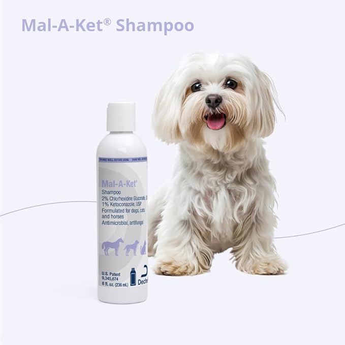Shampoo for Dogs and Cats, 8 oz