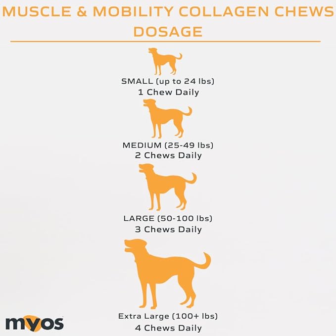 MYOS Canine Muscle & Mobility Chews – Collagen & Glucosamine for Dogs - Bacon Flavor Joint Supplement for Muscle, Bone & Joint Support, 60 Count