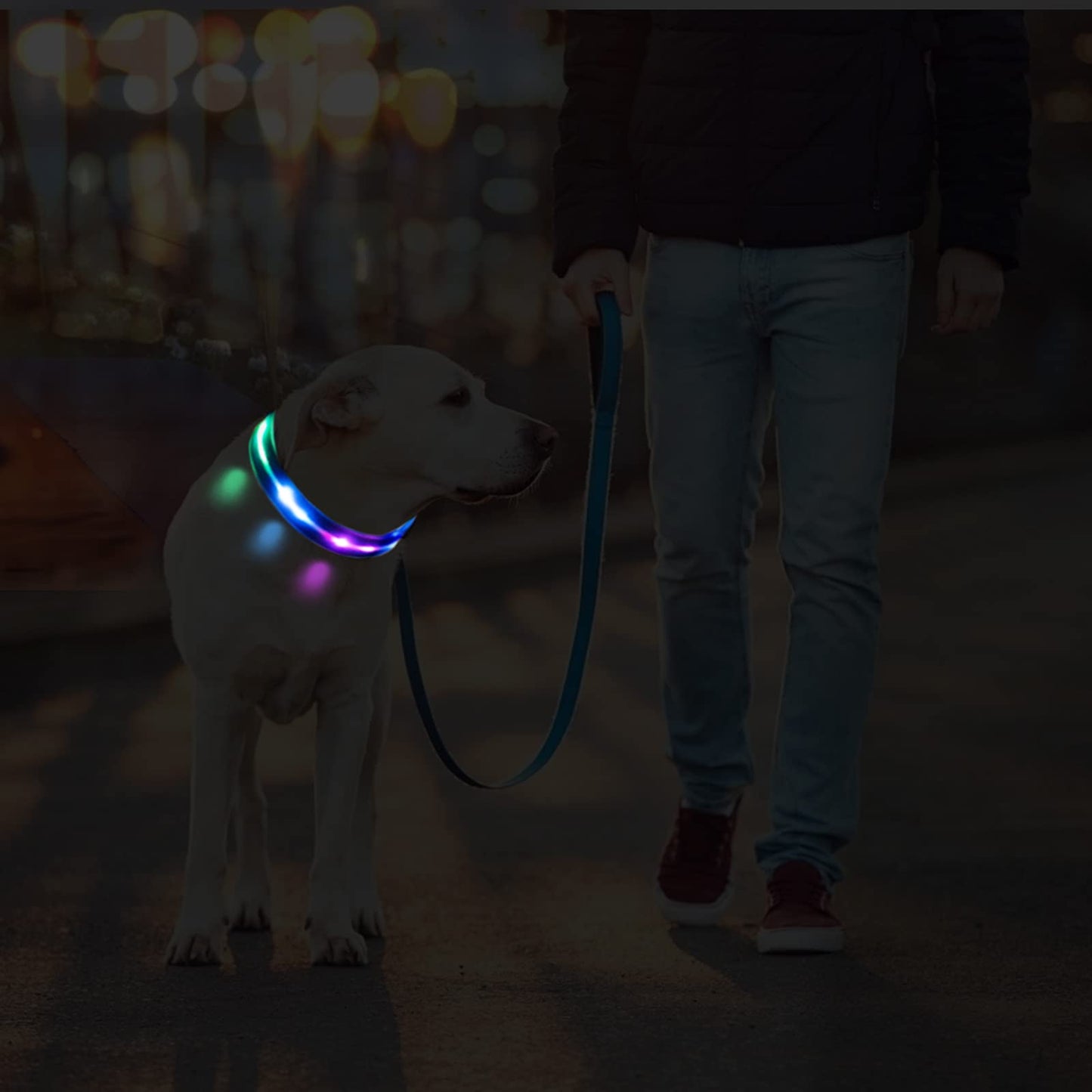 YUSHANG LED Dog Collar Waterproof Design Rechargeable