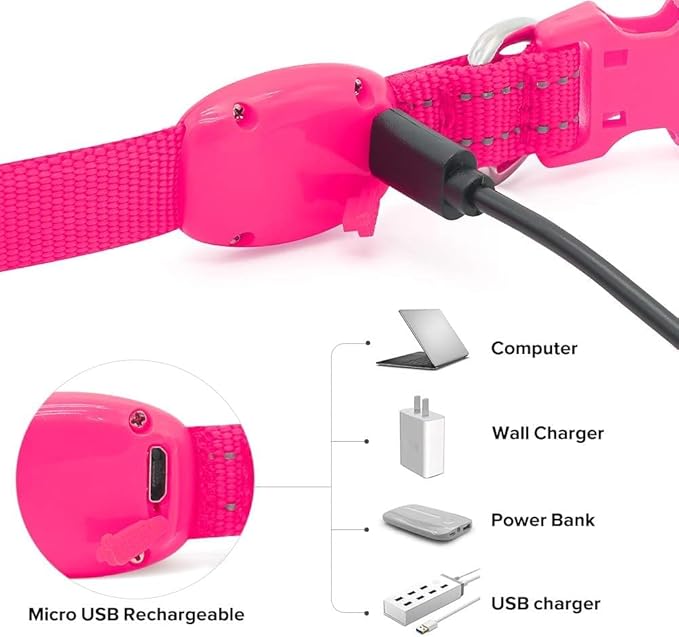 BSEEN Light Up Dog Collar - Reflective LED Dog Collar Rechargeable Glowing Pet Collar for Puppies & Cats, Safety Dog Lights for Night Walking (Pink)