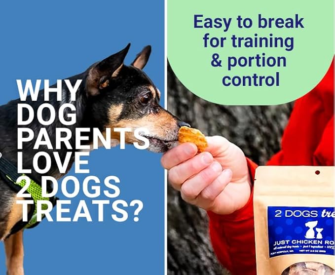 Just Chicken Jerky | 100% USA-Sourced, Single-Ingredient, Great for Sensitive Stomachs, Human-Grade USDA Chicken, Grain-Free, Allergy-Friendly, High Value for Training, Small Batch