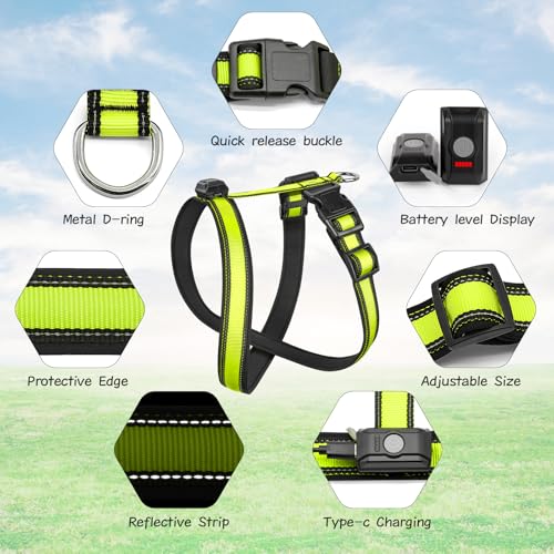 Light Up Dog Harness, Rechargeable LED Dog Harness, Glow in The Dark Dog Vest, Adjustable Pet Lights for Night Walking, Reflective Safety Vest for Medium Large Pet (Green, S)