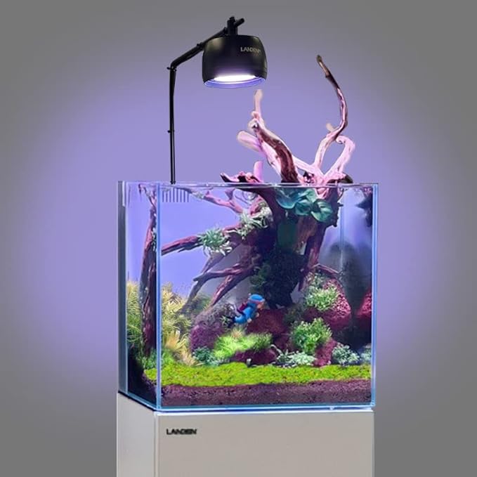 LANDEN Kueiyang Hornwood for Aquascaping, Aquarium Driftwood Decor, Natural Branches(12-14 inches, 30-35cm) 4pcs Terrariums Vivariums Reptile and Amphibian Enclosures Various Shapes