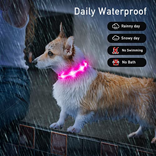 PZRLit Light Up Dog Collars for Small Medium Large Dogs, Adjustable LED Dog Collar, Rechargeable Soft Glow Collar for Dog Cat Night Walking, Pink