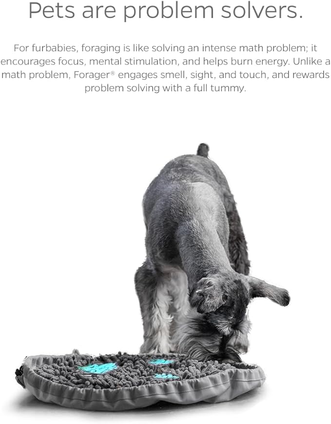 Pet Parents Forager Bowls, Slow Feeder Dog & Cat Bowls with SoftSnout™ & Non-Slip Backing, Portable Pet Puzzle Toys & Snuffle Mats, 30 oz, Modern Grey (Meadow Ponds)