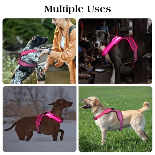 Light Up Dog Harness, Rechargeable LED Dog Harness with Battery Level Indicator, Adjustable Reflective Safety Vest for Night Walking, Soft Mesh Lighted Harness for Medium Large Dogs(5-90lbs)