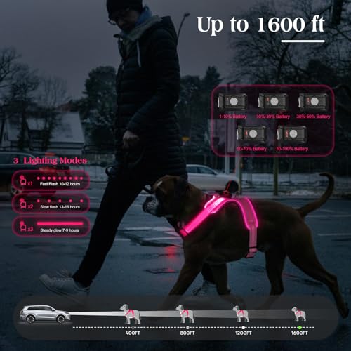 Light Up Dog Harness, Rechargeable LED Dog Harness with Battery Level Indicator, Adjustable Reflective Safety Vest for Night Walking, Soft Mesh Lighted Harness for Medium Large Dogs(5-90lbs)