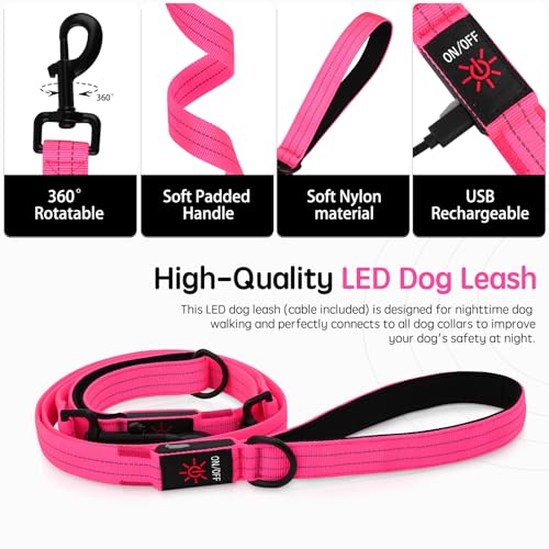 Dlitk Light Up Dog Leash, LED Leashes Rechargeable, Nylon Reflective Lead with Padded Handle for Night Walking, Safety Glow Lights for Large Medium Small Dogs(Pink,(4 Ft+2 Ft))