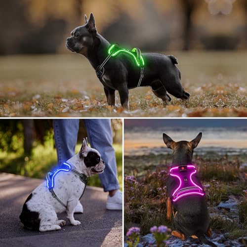 Vizbrite Light Up Dog Harness, No Pull LED Dog Harness with Handle, Rechargeable Lighted Safety Vest for Small Medium Large Dogs, Adjustable Soft Dog Lights for Night Walking
