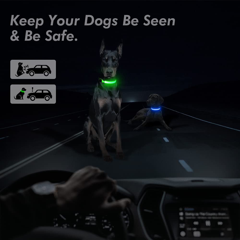 BSEEN Light Up Dog Collar, Rechargeable LED Dog Collar Reflective Pet Glow Collar Dog Lights for Night Walking (Neon Green, Medium)