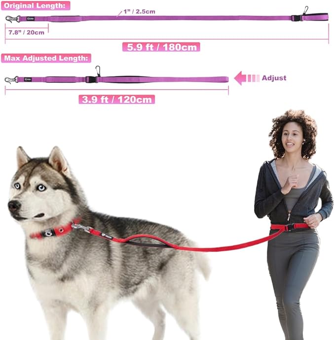 TSPRO Hands Free Dog Leash for Medium to Large Dogs, Adjustable Durable Leash with Comfortable Safety Padded Handle, Heavy Duty Metal Clasp for Walking, Running, Training (Black)