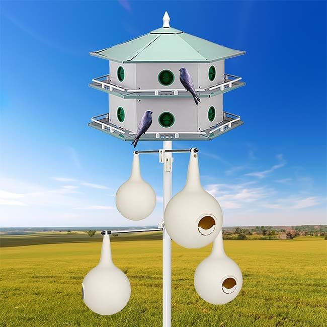 Heath 12-Room Deluxe Purple Martin House, Gourds, & Decoys Kit, White, (AH-12D-KIT5)