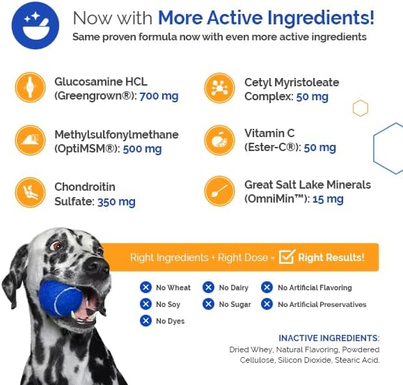 GlycanAid Maintenance Joint Nutrition for Dogs (60 Chewable Tablets), Made in USA-USA Ingredients: Glucosamine HCL, Chondroitin Sulfate, MSM, Vitamin C