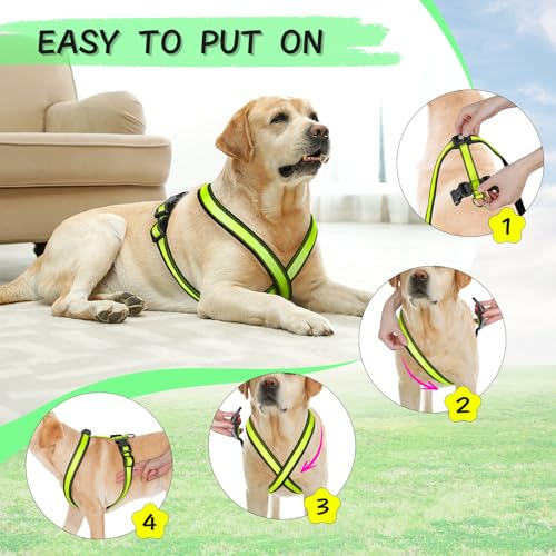 Light Up Dog Harness, Rechargeable LED Dog Harness, Glow in The Dark Dog Vest, Adjustable Pet Lights for Night Walking, Reflective Safety Vest for Medium Large Pet (Green, S)