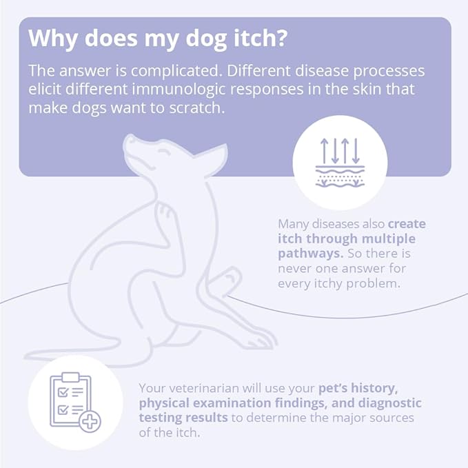 4 Shampoo for Dogs, Cats and Horses, 16 Ounce