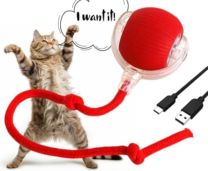 Dog/Cat Automatic Ball - Activated Automatic Moving Toy, Rechargeable, Self Play, Ball Toy with Long Tail Teaser