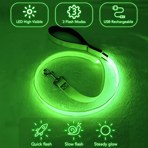 Colaseeme Light Up Dog Leash, 4FT LED Pet Leashes Micro USB Rechargeable, Nylon Glow Safety Dogs Lights at Night (Green)