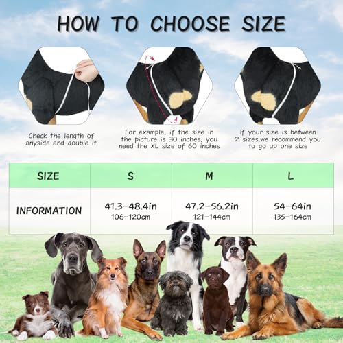 Light Up Dog Harness, Rechargeable LED Dog Harness, Glow in The Dark Dog Vest, Adjustable Pet Lights for Night Walking, Reflective Safety Vest for Medium Large Pet (Green, S)