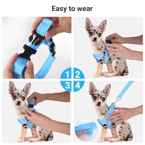 QVEEQ Light Up Dog Harness, led Dog Collar Rechargeable, Lighted Dog Collars for Night Safety Walking Camping Adjustable, Three Lighting Modes (Blue, S)