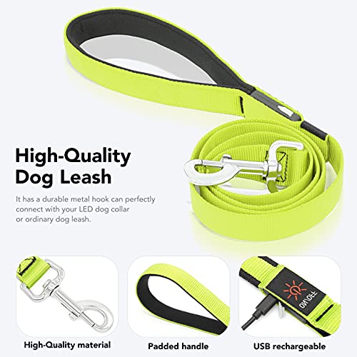 Colaseeme Light Up Dog Leash, 4FT LED Pet Leashes Micro USB Rechargeable, Nylon Glow Safety Dogs Lights at Night (Green)