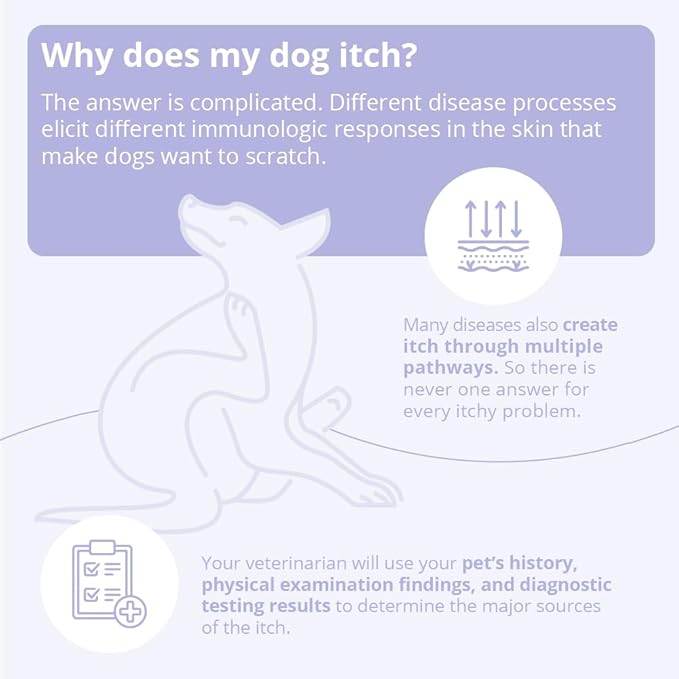 Shampoo for Dogs and Cats, 8 oz