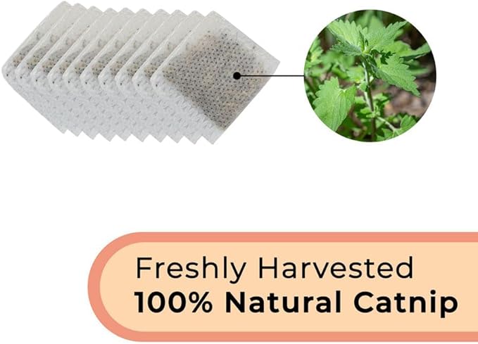 Interactive Catnip Bird Toy Set (10-Pack Replacement Catnip Pouches)