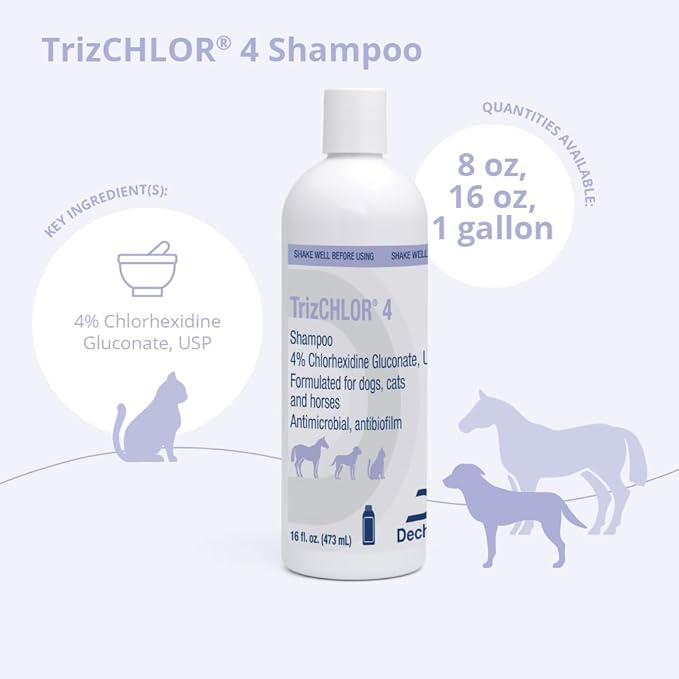 4 Shampoo for Dogs, Cats and Horses, 16 Ounce