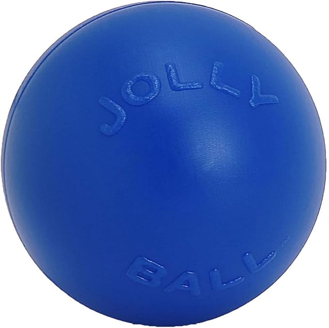 Jolly Pets Push-n-Play Ball Dog Toy, 10 Inches/Large, Blue