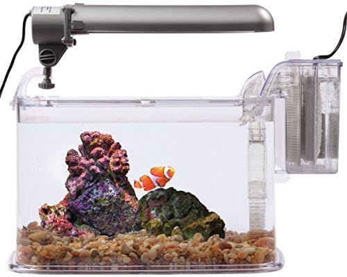 KollerCraft Deco Acuario Kit, 2 galones