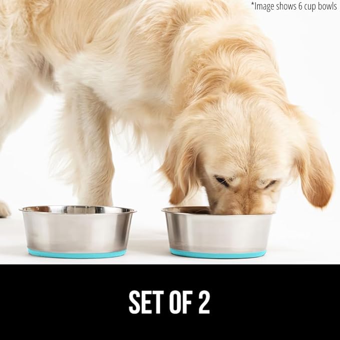 GORILLA GRIP Set of 2 Dog Bowls, Holds 4 Cups (32 fl oz), Heavy Duty Metal Food and Water Bowl for Feeding Dogs and Cat, Dishwasher Safe, Rust Resistant Stainless Steel, BPA Free Rubber Base Turquoise