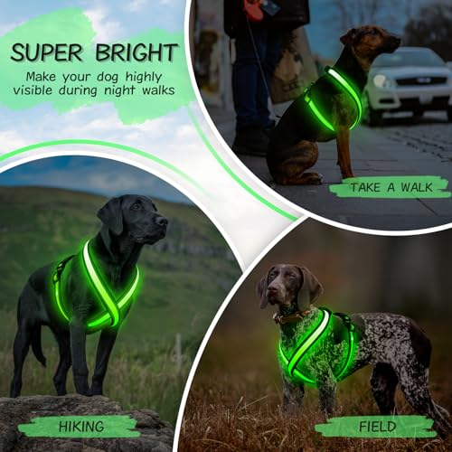 Light Up Dog Harness, Rechargeable LED Dog Harness, Glow in The Dark Dog Vest, Adjustable Pet Lights for Night Walking, Reflective Safety Vest for Medium Large Pet (Green, S)