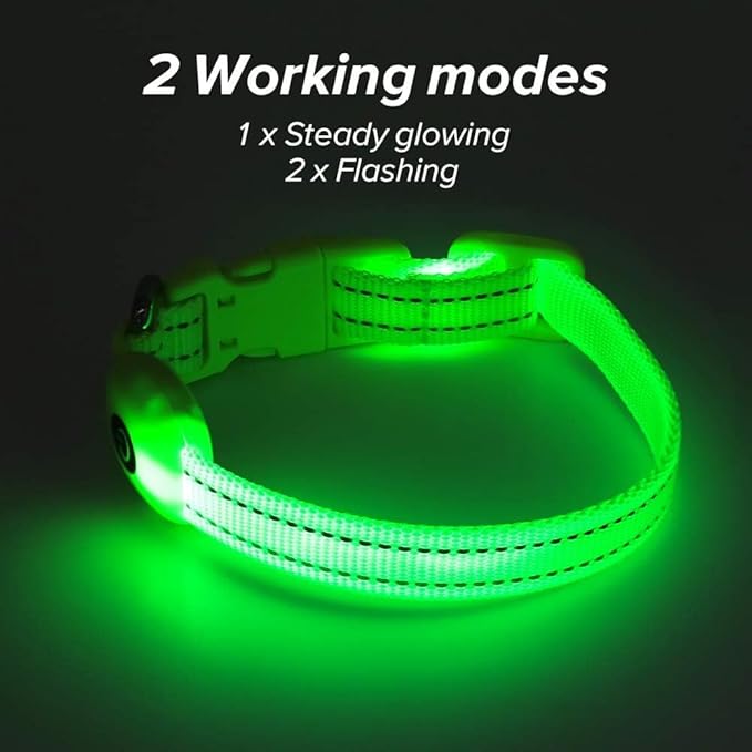 BSEEN Light Up Dog Collars - Glowing LED Dog Collar Rechargeable Puppy Collar for Small Dogs & Cats, Safety Dog Lights for Night Walking (Green)