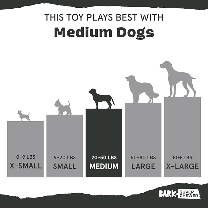 Barkbox Pork Chomp Dog Toy for Durable Tough Nylon Construction with a Gnaw-Friendly Texture, Perfect for Long-Lasting Chewing Fun - Medium