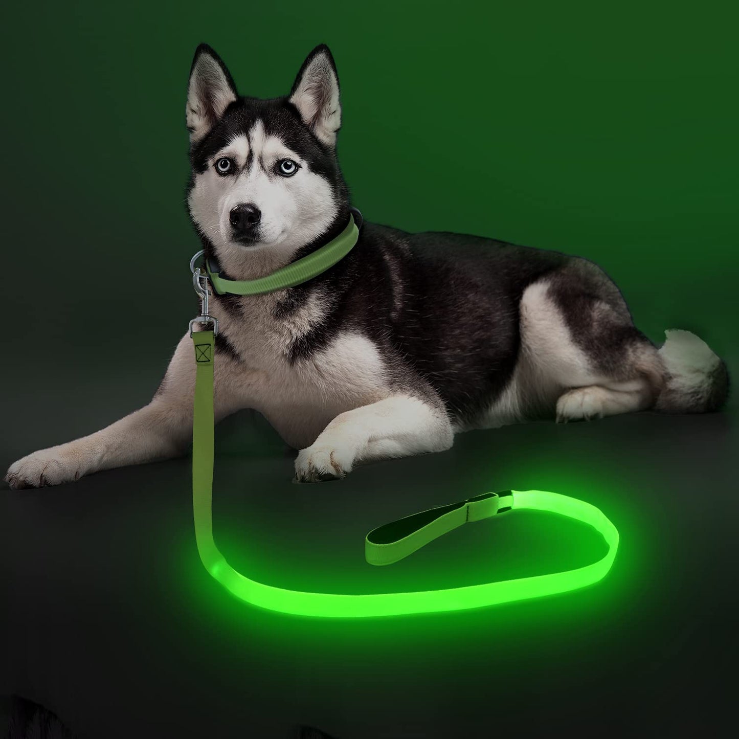 Colaseeme Light Up Dog Leash, 4FT LED Pet Leashes Micro USB Rechargeable, Nylon Glow Safety Dogs Lights at Night (Green)