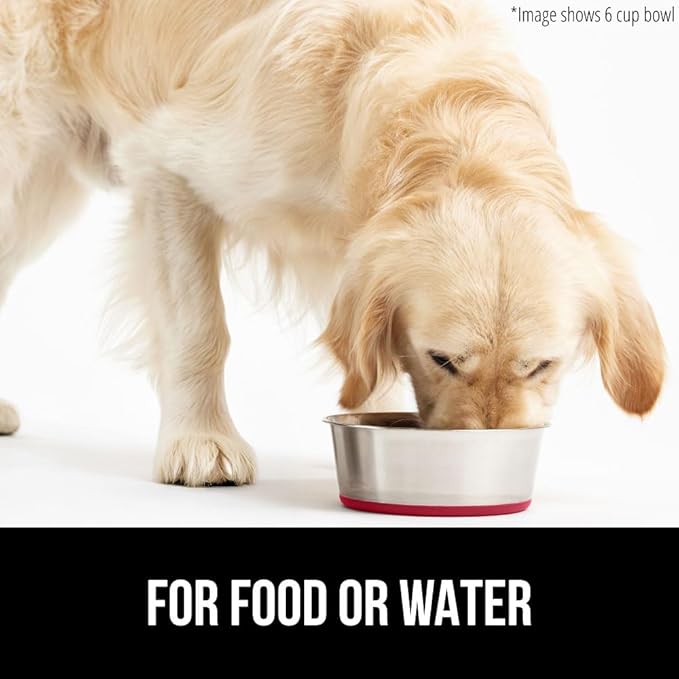 GORILLA GRIP Stainless Steel Metal Dog Bowl, Rubber Base, Heavy Duty Feeding Dish, Food Grade BPA Free, Less Sliding on Floors, Quiet Pet Bowl for Cats and Dogs, Holds 2 Cups (16 fl oz), Red
