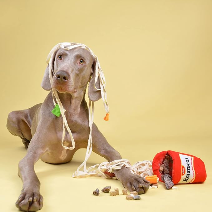 Dog Puzzle Toy, Interactive & Enriching Snuffle Game for Small & Medium Dogs, Durable Hide and Seek Crinkle Toy, Treat Dispensing & Nose Work Fun