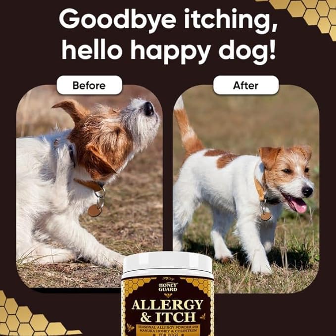 iHeartDogs Honey Guard Allergy & Itch Omega-3-6-9 Powder for Dogs Extra Strength with Manuka Honey, Quercetin, Colostrum, Kelp, Krill Oil & Probiotics - 90 Scoops