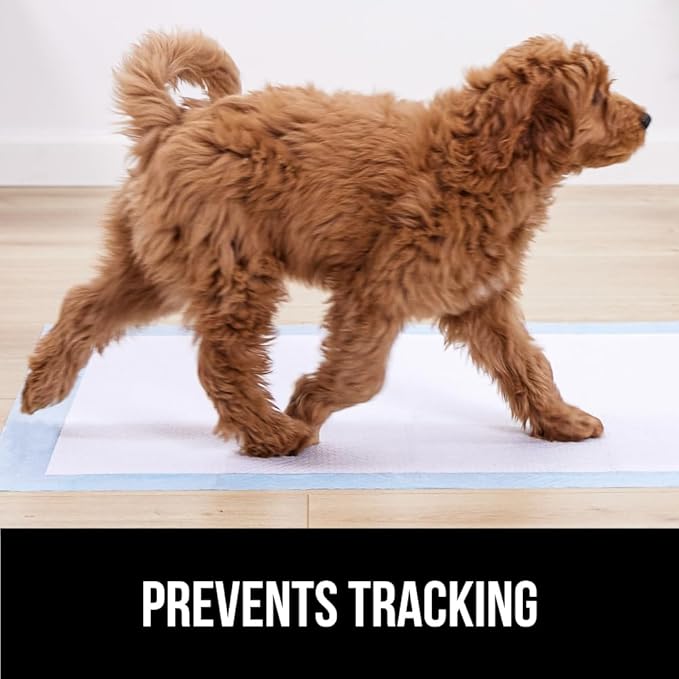 Gorilla Guard Disposable Puppy Pads, 150 Count 28x34 in, 5 Layer Pee Pads for Dogs, Absorbent Diaper Changing Pad, Dog Potty Training Supplies, Quick Dry Pet Housebreaking Essentials for Puppies