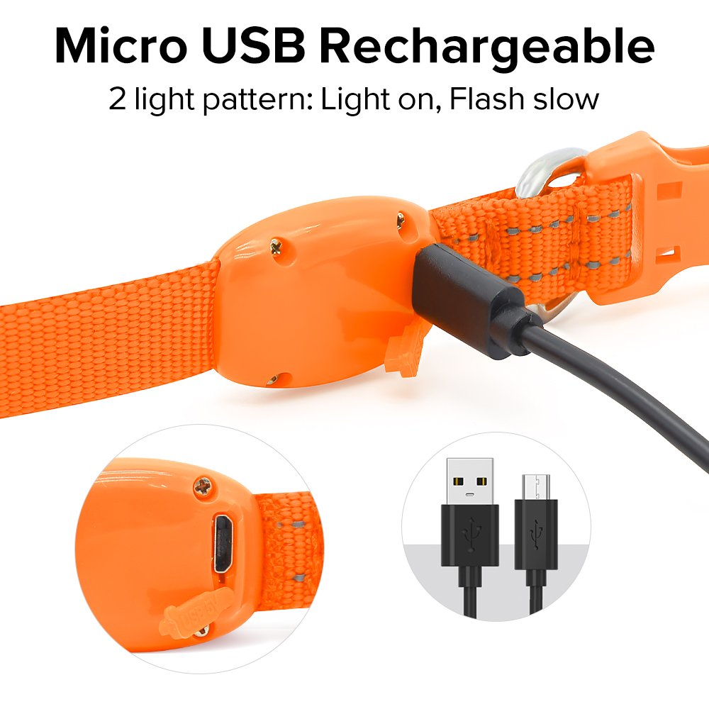 BSEEN Light Up Dog Collar, Rechargeable LED Dog Collar Glowing Cat Collars Reflective Puppy Collar Safety Dog Lights for Night Walking(Orange, XS)