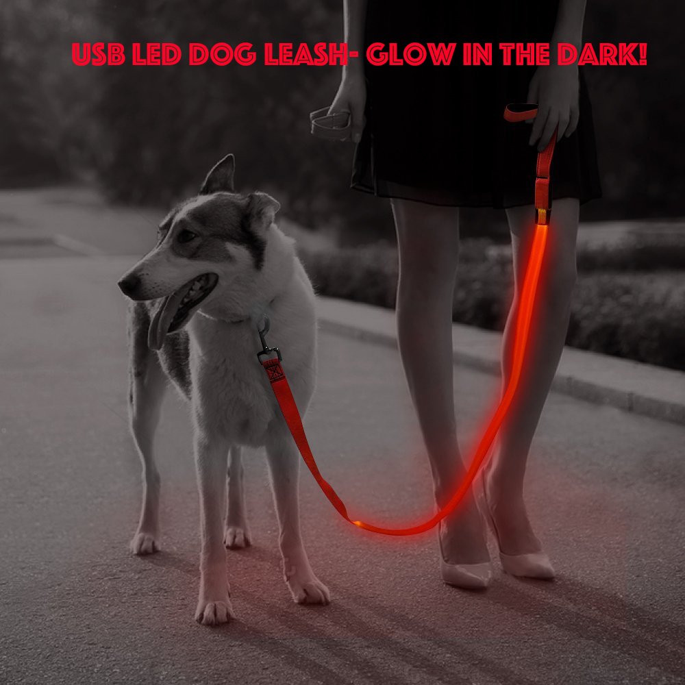 Illumifun LED Dog Leash, USB Rechargeable Light Up Dog Lead, 47.2inch Nylon Glowing Pet Leash for Your Night Dog Walking (RedⅠ)