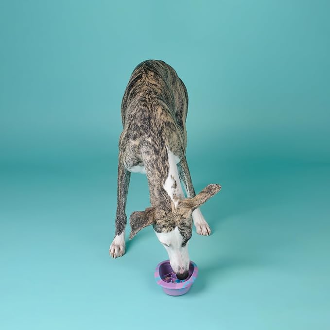 Interactive Dog & Cat Lick Mat Bowls, BPA-Free Silicone Dog Slow Feeder with Suction Cups, Non Slip Food Bowl for Dogs and Cats, Reduce Anxiety, Dishwasher Safe, Lavender Purple Small