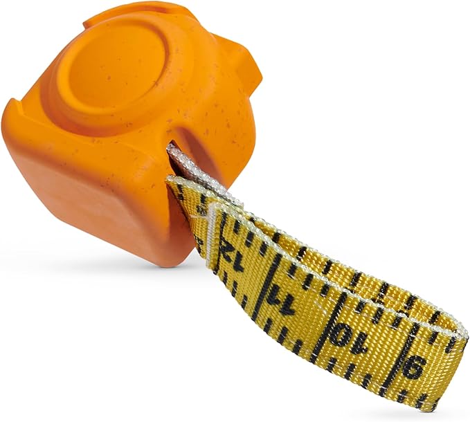 Barkbox Tug Measure Durable Dog Toy, Perfect for Strong Chewers and Interactive Play - Large