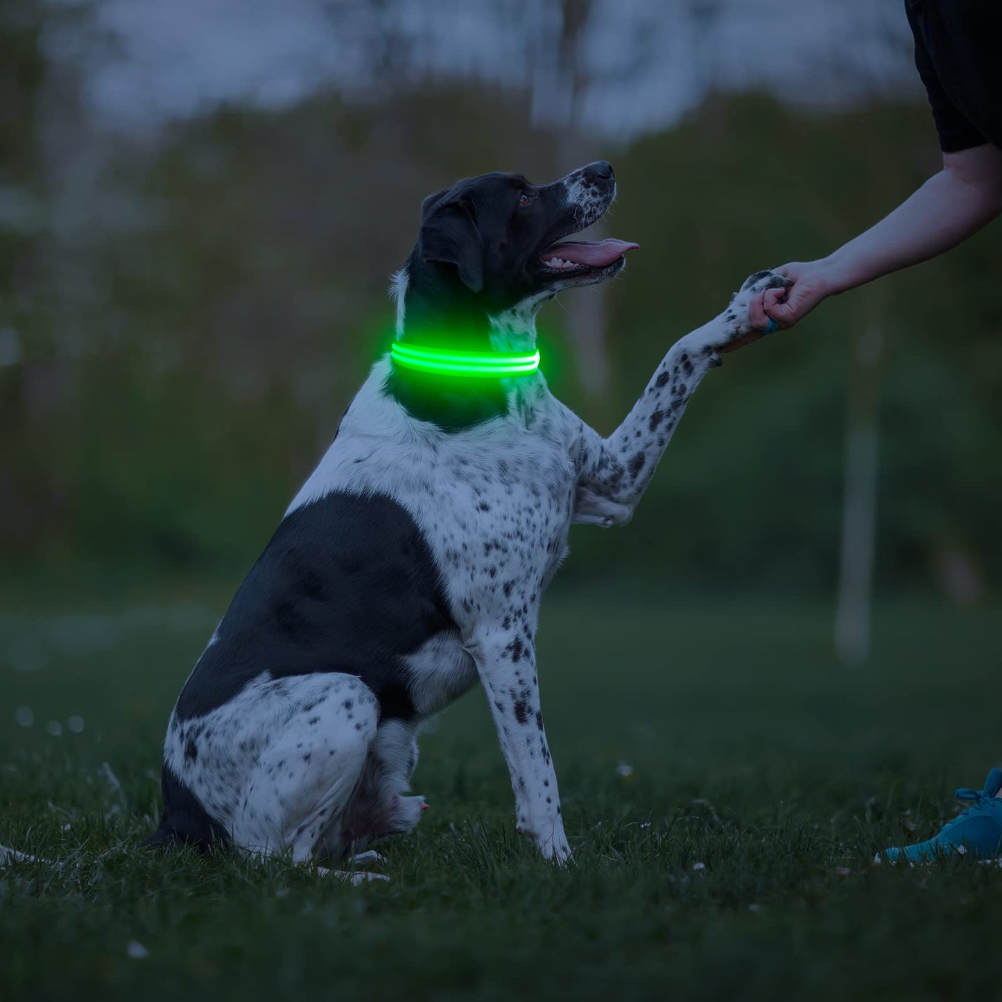 HIGO LED Dog Collar - Rechargeable Light Up Dog Collars Glow in The Dark, Flashing Dog Lights for Night Walking (Small, Green)