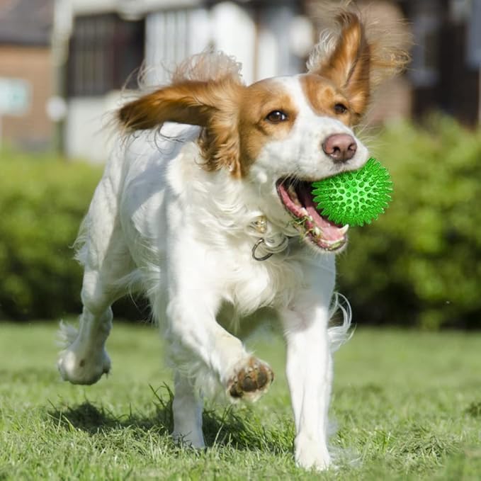 ME.FAN 3.5'' Squeaky Dog Toy Balls [8 Pack] Spiky Dog Balls/Puppy Chew Toys for Cleaning Teeth and Gum Health/Squeaker Ball Toys for Aggressive Chewers
