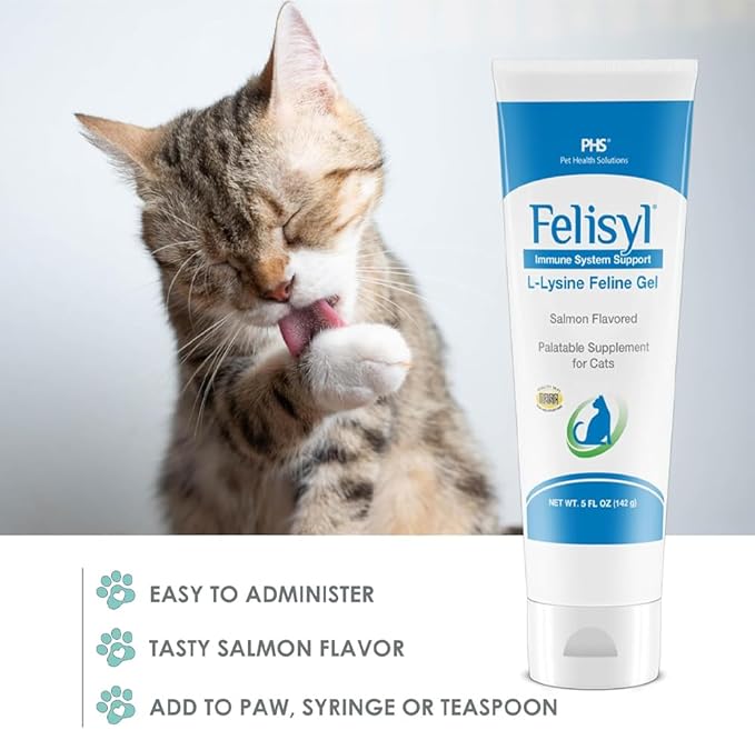 L-Lysine Gel for Cats (5oz) – Supports Immune, Respiratory, and Eye Health. Eases Sneezing, Runny Nose, and Watery Eyes. Tasty Salmon Flavor - Made in The USA (6 Pack)